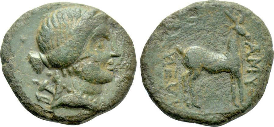 ANTİK SİKKELER NÜMİZMATİK_AMYZON (2).jpg