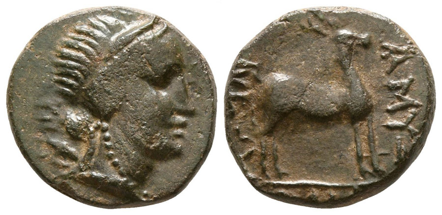 ANTİK SİKKELER NÜMİZMATİK_AMYZON (3).jpg