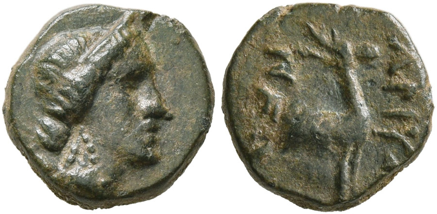 ANTİK SİKKELER NÜMİZMATİK_AMYZON3 (1).jpg