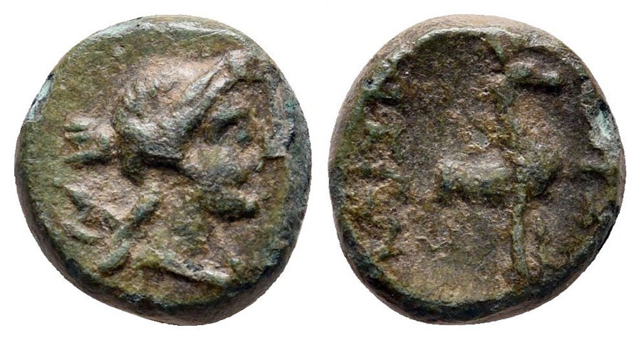 ANTİK SİKKELER NÜMİZMATİK_AMYZON3 (3).jpg