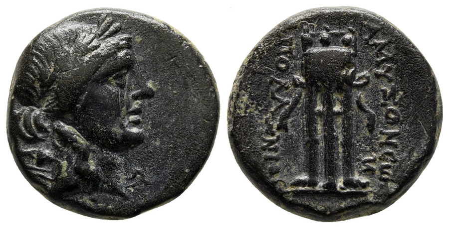 ANTİK SİKKELER NÜMİZMATİK_AMYZON3 (4).jpg