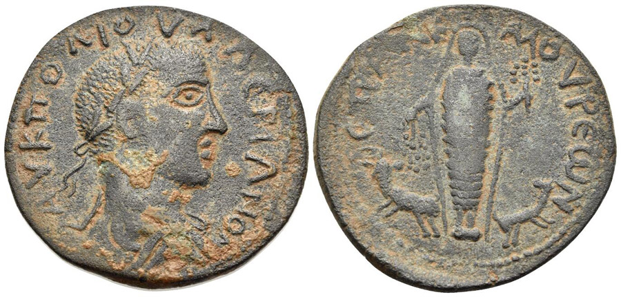 ANTİK SİKKELER NÜMİZMATİK_AN2 (1).jpg