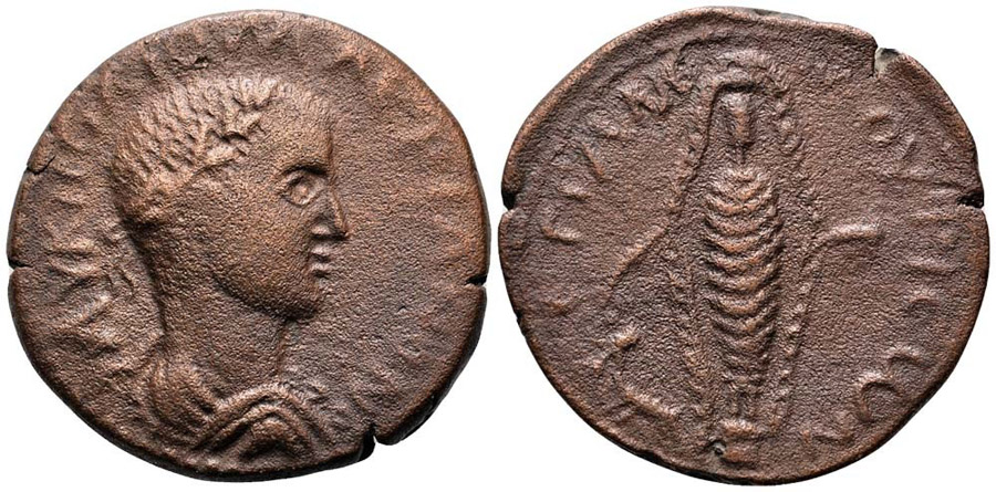 ANTİK SİKKELER NÜMİZMATİK_AN2 (7).jpg