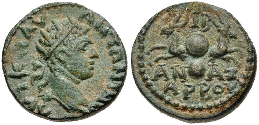 ANTİK SİKKELER NÜMİZMATİK_ANAZARBUS (9).jpg