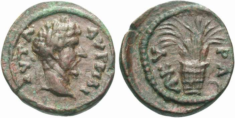 ANTİK SİKKELER NÜMİZMATİK_ANK15 (7).jpg