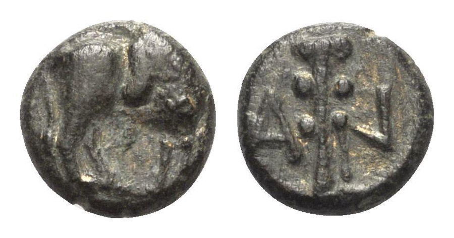 ANTİK SİKKELER NÜMİZMATİK_ANT3X (3).jpg