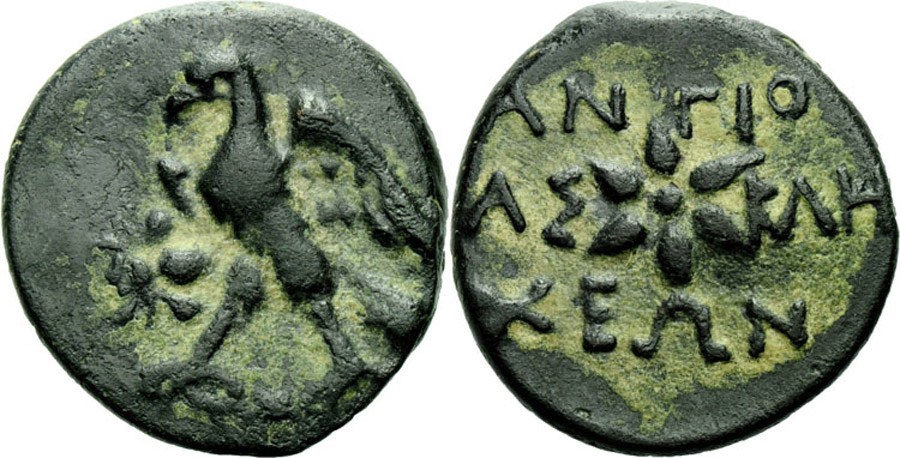 ANTİK SİKKELER NÜMİZMATİK_Antiochia ad Maeandrum23 (7).jpg