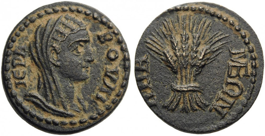 ANTİK SİKKELER NÜMİZMATİK_AP2X (2).jpg