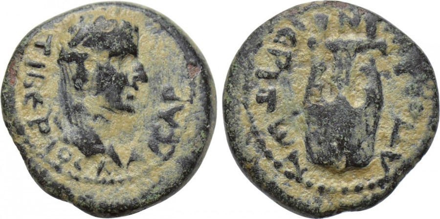 ANTİK SİKKELER NÜMİZMATİK_Apollonos Hieron2 (9).jpg