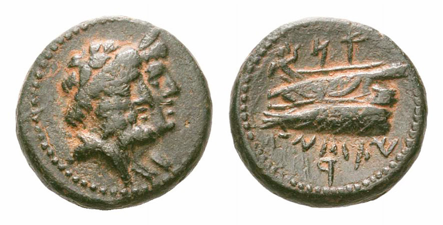 ANTİK SİKKELER NÜMİZMATİK_ARADOS2 (10).jpg