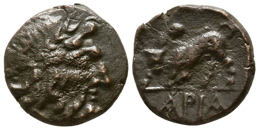 ANTİK SİKKELER NÜMİZMATİK_ARX4 (1).jpg