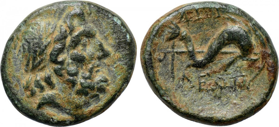 ANTİK SİKKELER NÜMİZMATİK_AT2 (10).jpg