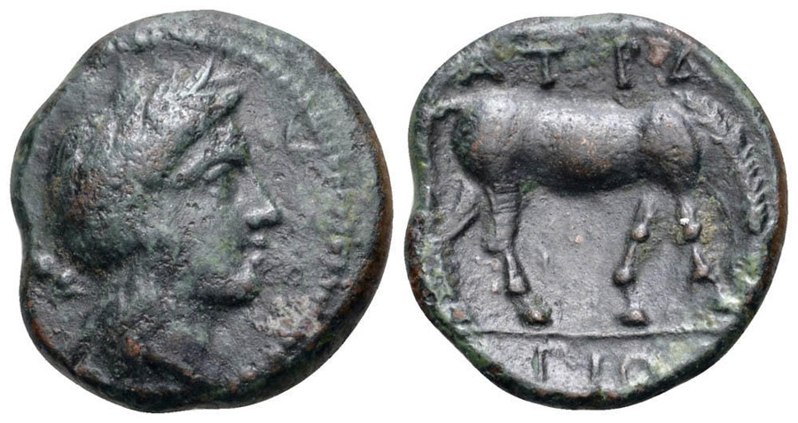 ANTİK SİKKELER NÜMİZMATİK_ATRAX2 (11).jpg