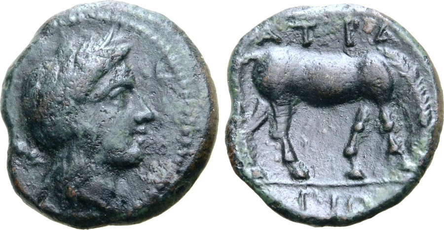 ANTİK SİKKELER NÜMİZMATİK_ATRAX2 (12).jpg