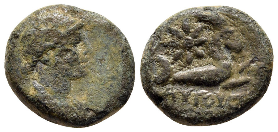 ANTİK SİKKELER NÜMİZMATİK_AUGUSTA007 (8).jpg