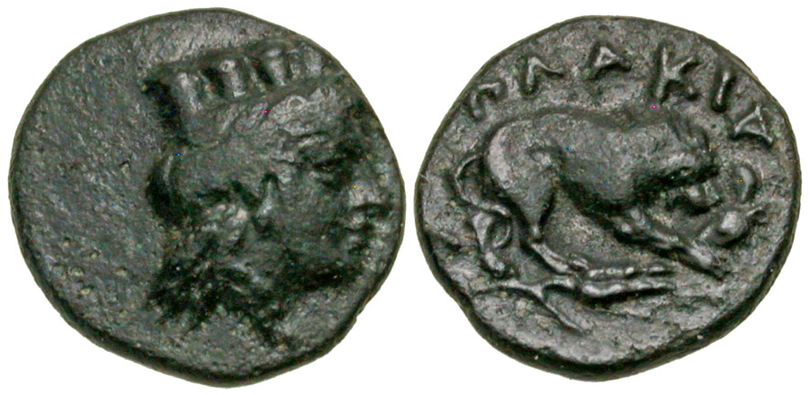 ANTİK SİKKELER NÜMİZMATİK_B43509J (6).jpg