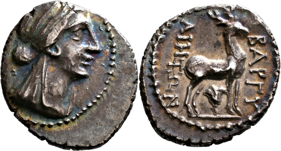 ANTİK SİKKELER NÜMİZMATİK_BAR6 (1).jpg