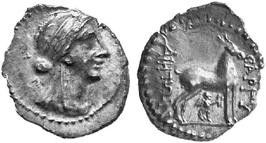 ANTİK SİKKELER NÜMİZMATİK_BARGYLIA2 (2).jpg