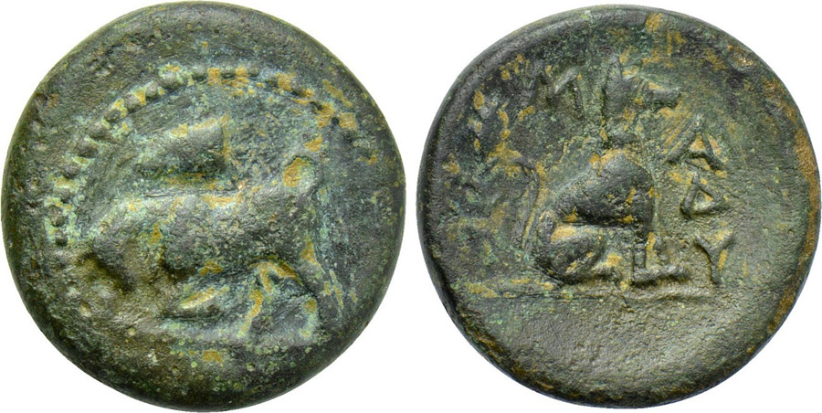 ANTİK SİKKELER NÜMİZMATİK_BR312X (5).jpg