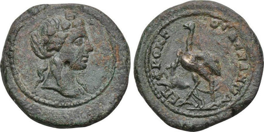 ANTİK SİKKELER NÜMİZMATİK_BY8 (2).jpg