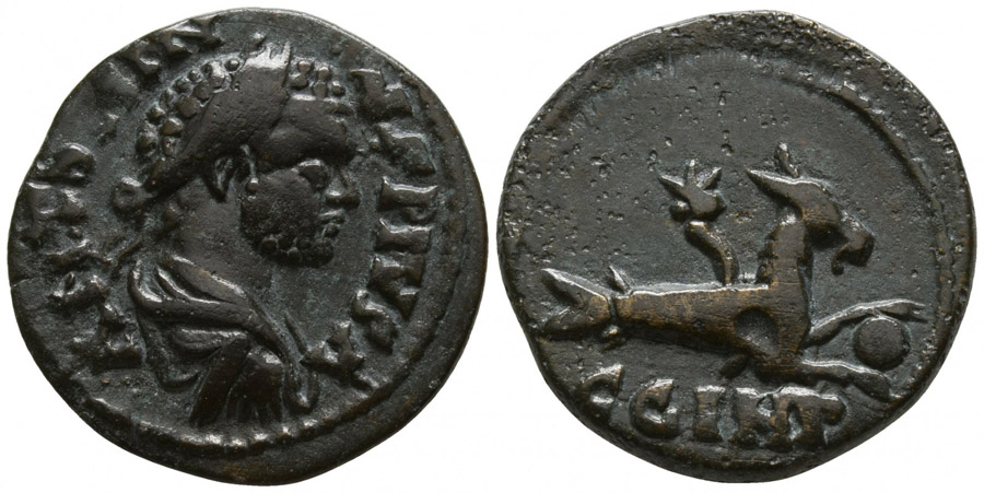 ANTİK SİKKELER NÜMİZMATİK_c676yz (4).jpg