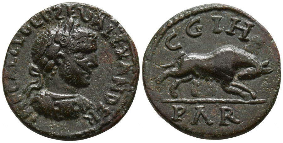 ANTİK SİKKELER NÜMİZMATİK_c676yz (7).jpg