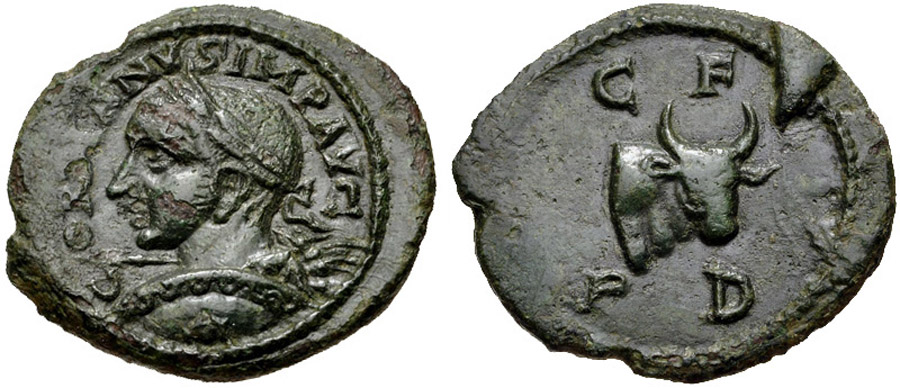 ANTİK SİKKELER NÜMİZMATİK_C7899A (4).jpg