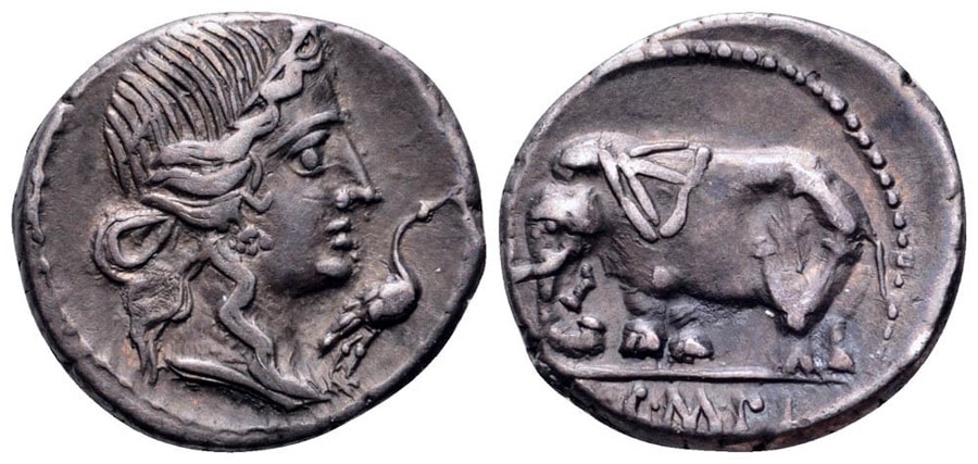 ANTİK SİKKELER NÜMİZMATİK_Caecilius Metellus Pius (10).jpg