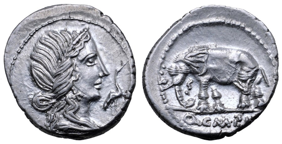 ANTİK SİKKELER NÜMİZMATİK_Caecilius Metellus Pius (14).jpg