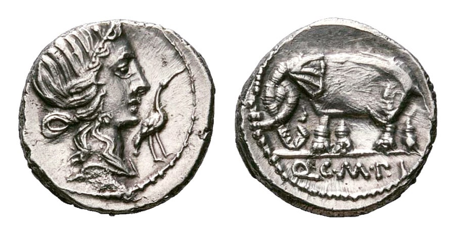 ANTİK SİKKELER NÜMİZMATİK_Caecilius Metellus Pius (4).jpg