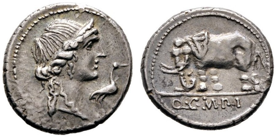 ANTİK SİKKELER NÜMİZMATİK_Caecilius Metellus Pius (9).jpg