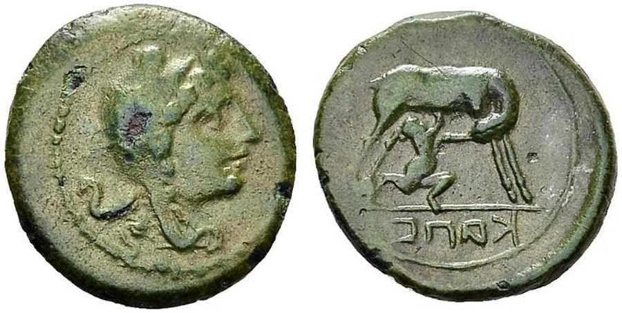 ANTİK SİKKELER NÜMİZMATİK_CAPUA (10).jpg