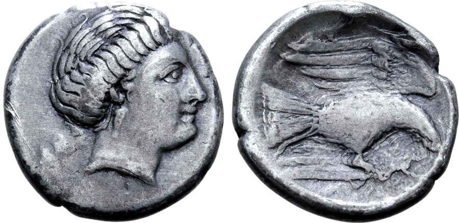 ANTİK SİKKELER NÜMİZMATİK_Chalkıs (10).jpg