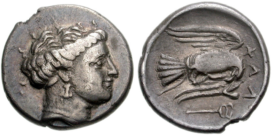 ANTİK SİKKELER NÜMİZMATİK_Chalkıs (21).jpg