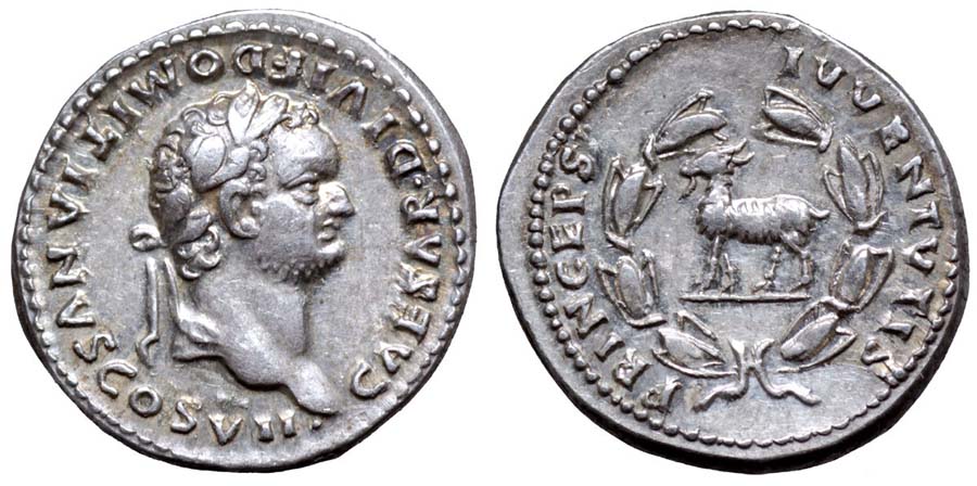 ANTİK SİKKELER NÜMİZMATİK_DOMITIAN (18).jpg