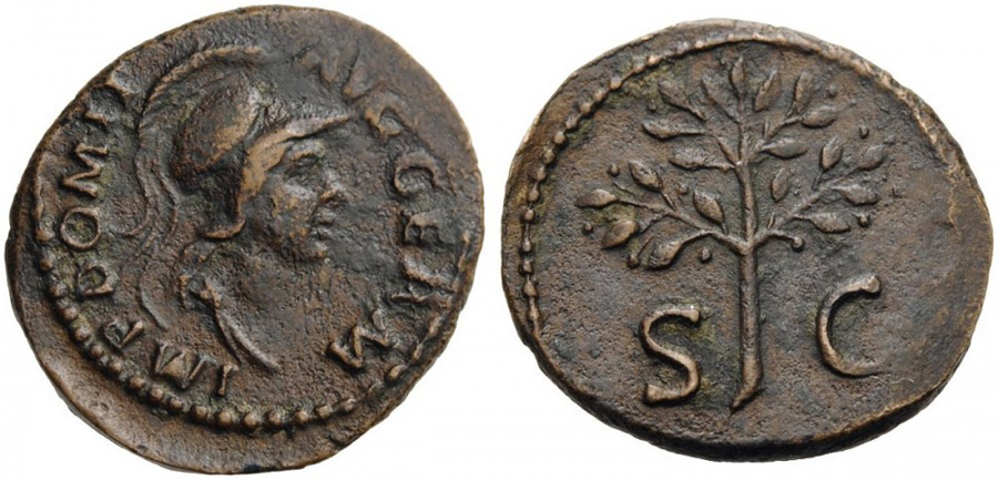 ANTİK SİKKELER NÜMİZMATİK_Domitianus (10).jpg