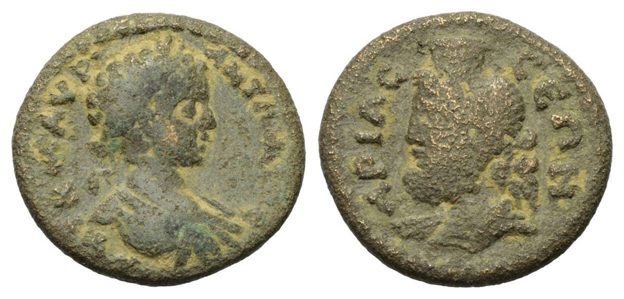 ANTİK SİKKELER NÜMİZMATİK_E778734H (8).jpg