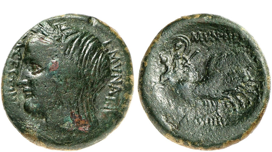 ANTİK SİKKELER NÜMİZMATİK_Enna (9).jpg