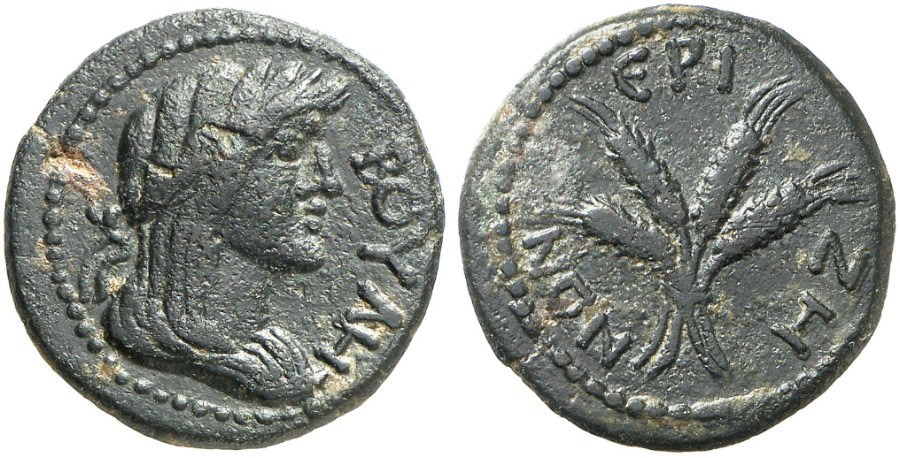 ANTİK SİKKELER NÜMİZMATİK_ERIZA (5).jpg