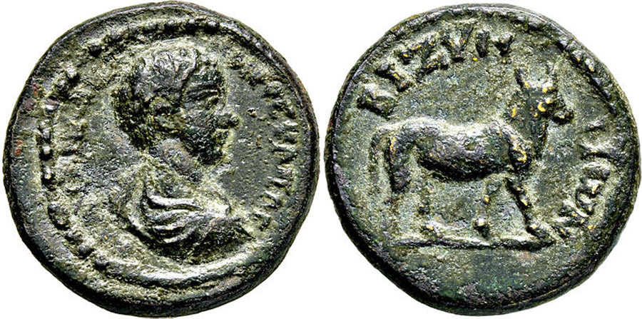 ANTİK SİKKELER NÜMİZMATİK_F3 (9).jpg