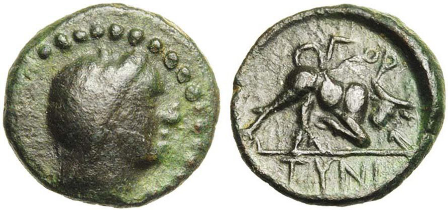 ANTİK SİKKELER NÜMİZMATİK_GORTYNA (6).jpg