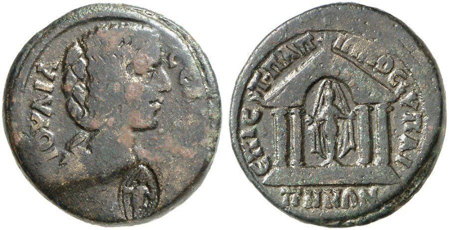 ANTİK SİKKELER NÜMİZMATİK_H2 (8).jpg