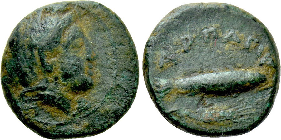 ANTİK SİKKELER NÜMİZMATİK_H235CX (3).jpg