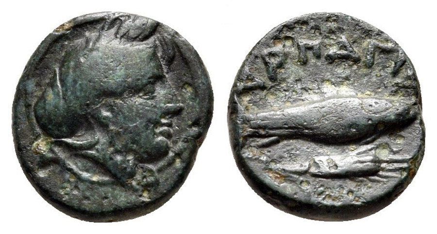 ANTİK SİKKELER NÜMİZMATİK_H235CX (4).jpg