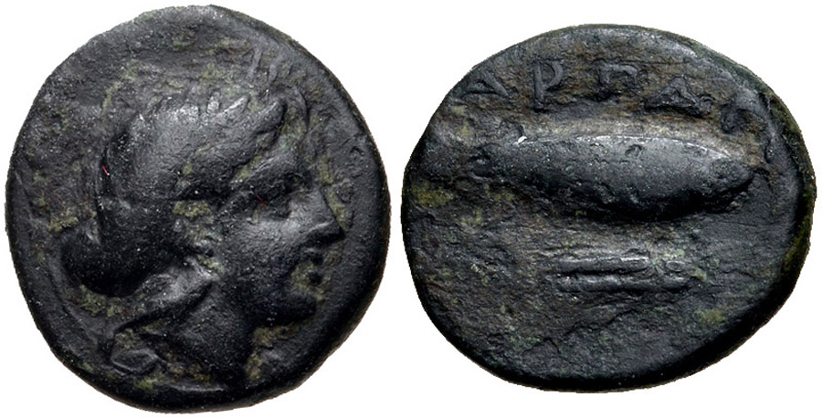 ANTİK SİKKELER NÜMİZMATİK_H235CX (6).jpg