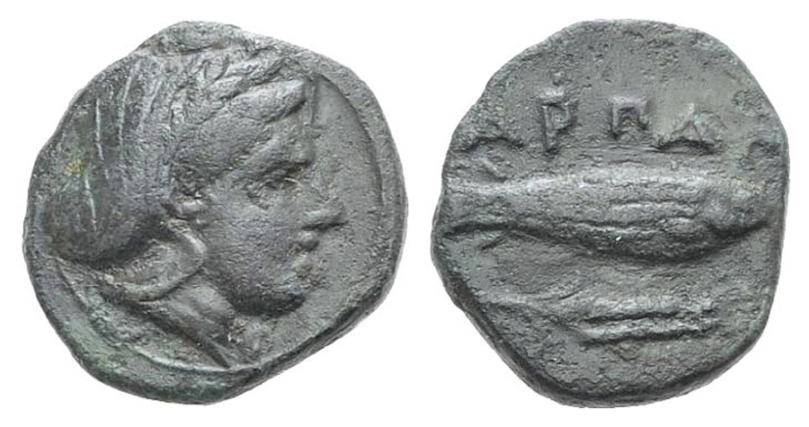 ANTİK SİKKELER NÜMİZMATİK_H235CX (7).jpg