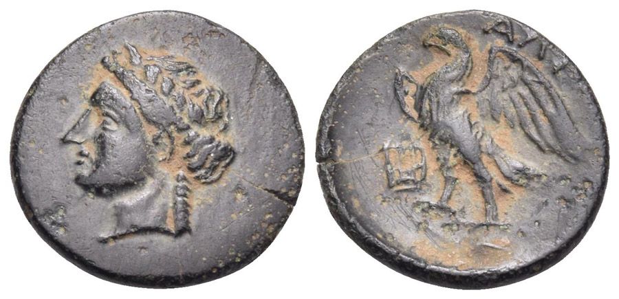 ANTİK SİKKELER NÜMİZMATİK_halikarnassos23 (8).jpg