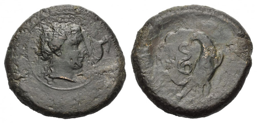 ANTİK SİKKELER NÜMİZMATİK_hb8 (4).jpg