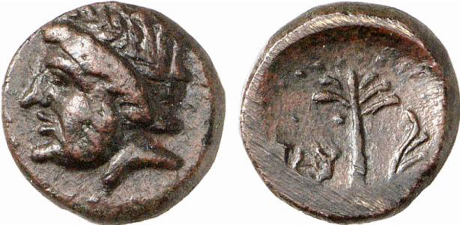 ANTİK SİKKELER NÜMİZMATİK_Hierapetna  (10).jpg