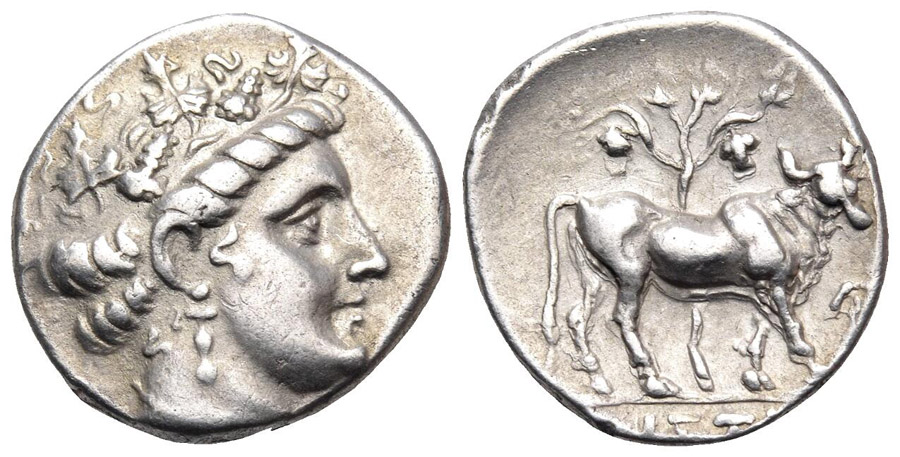 ANTİK SİKKELER NÜMİZMATİK_Histiaia (25).jpg